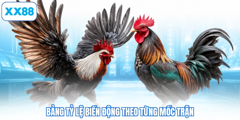Bảng tỷ lệ biến động theo từng mốc trận