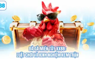 đá gà miền tây